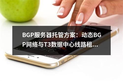 BGP服务器托管方案：动态BGP网络与T3数据中心线路租用
