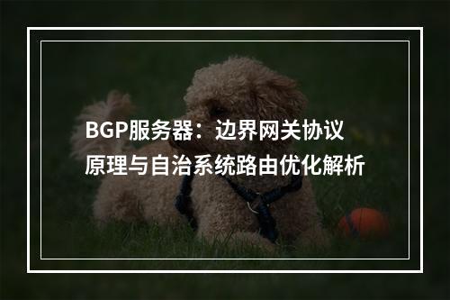 BGP服务器：边界网关协议原理与自治系统路由优化解析