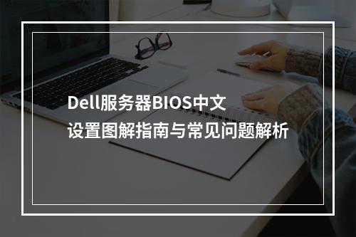 Dell服务器BIOS中文设置图解指南与常见问题解析