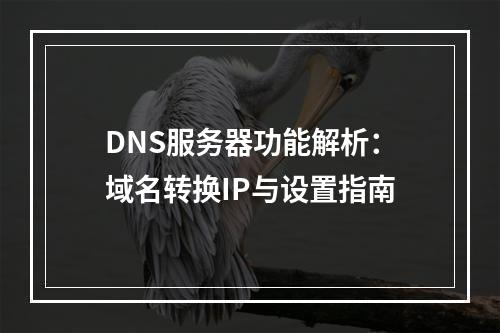 DNS服务器功能解析：域名转换IP与设置指南