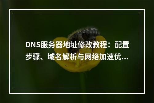 DNS服务器地址修改教程：配置步骤、域名解析与网络加速优化