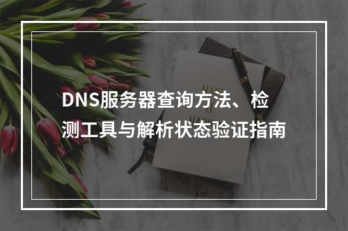 DNS服务器查询方法、检测工具与解析状态验证指南
