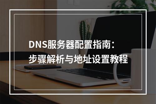 DNS服务器配置指南：步骤解析与地址设置教程