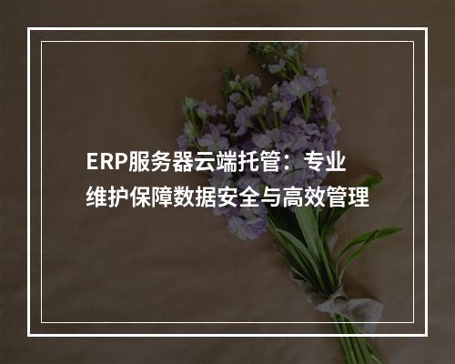 ERP服务器云端托管：专业维护保障数据安全与高效管理