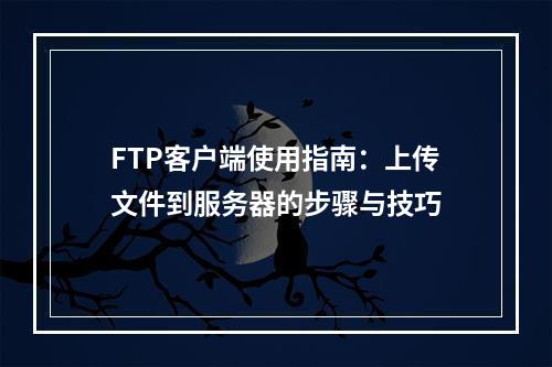 FTP客户端使用指南：上传文件到服务器的步骤与技巧