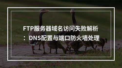 FTP服务器域名访问失败解析：DNS配置与端口防火墙处理