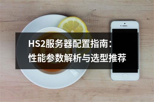 HS2服务器配置指南：性能参数解析与选型推荐