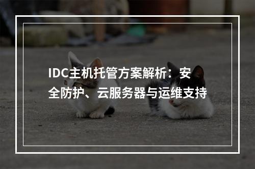 IDC主机托管方案解析：安全防护、云服务器与运维支持