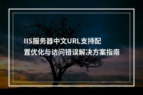 IIS服务器中文URL支持配置优化与访问错误解决方案指南