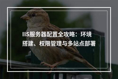 IIS服务器配置全攻略：环境搭建、权限管理与多站点部署