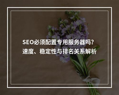 SEO必须配置专用服务器吗？速度、稳定性与排名关系解析
