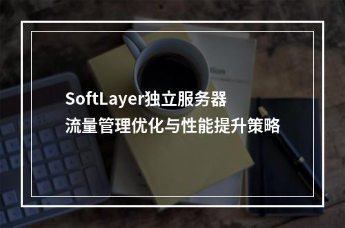 SoftLayer独立服务器流量管理优化与性能提升策略