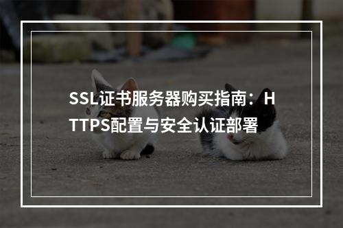 SSL证书服务器购买指南：HTTPS配置与安全认证部署