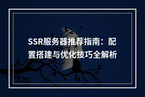 SSR服务器推荐指南：配置搭建与优化技巧全解析