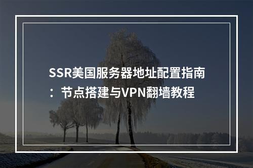 SSR美国服务器地址配置指南：节点搭建与VPN翻墙教程