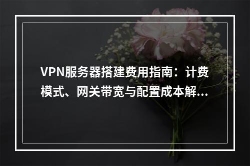 VPN服务器搭建费用指南：计费模式、网关带宽与配置成本解析
