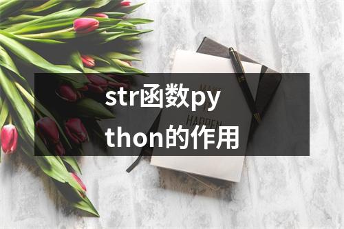 str函数python的作用