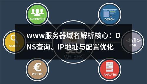www服务器域名解析核心：DNS查询、IP地址与配置优化