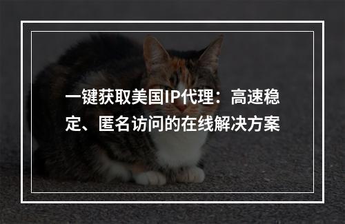 一键获取美国IP代理：高速稳定、匿名访问的在线解决方案