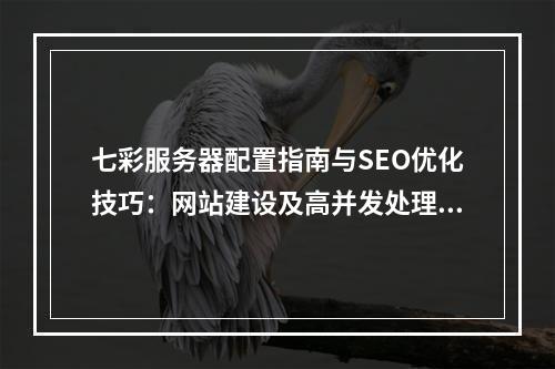 七彩服务器配置指南与SEO优化技巧：网站建设及高并发处理方案