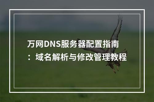 万网DNS服务器配置指南：域名解析与修改管理教程