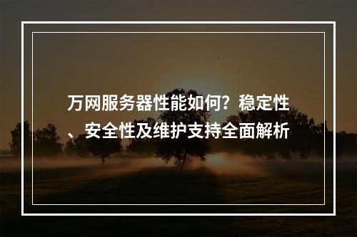 万网服务器性能如何？稳定性、安全性及维护支持全面解析