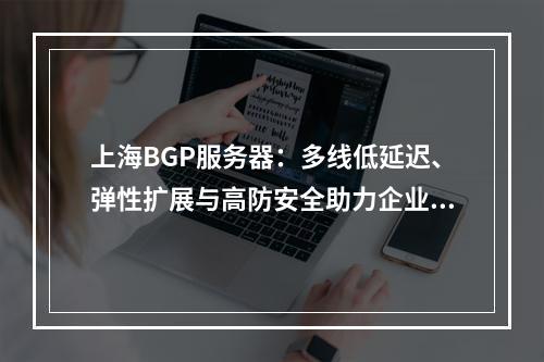 上海BGP服务器：多线低延迟、弹性扩展与高防安全助力企业布局