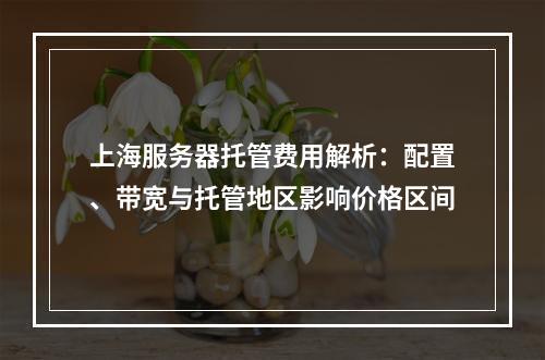 上海服务器托管费用解析：配置、带宽与托管地区影响价格区间