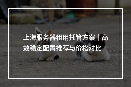 上海服务器租用托管方案｜高效稳定配置推荐与价格对比