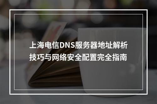 上海电信DNS服务器地址解析技巧与网络安全配置完全指南