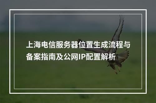 上海电信服务器位置生成流程与备案指南及公网IP配置解析