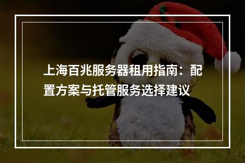 上海百兆服务器租用指南：配置方案与托管服务选择建议