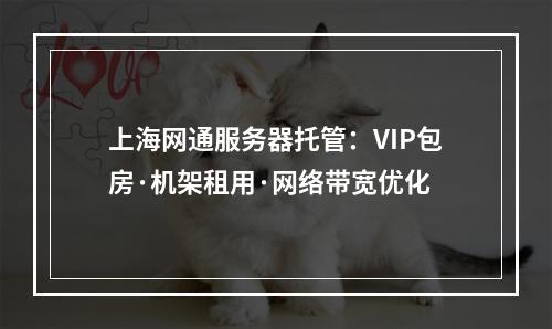 上海网通服务器托管：VIP包房·机架租用·网络带宽优化