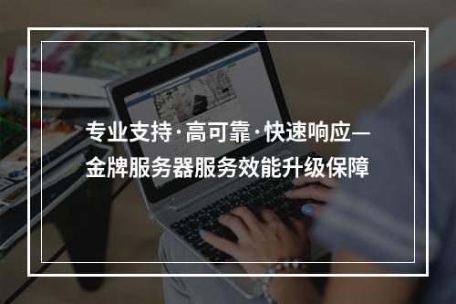 专业支持·高可靠·快速响应—金牌服务器服务效能升级保障