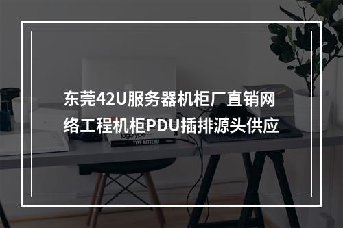 东莞42U服务器机柜厂直销网络工程机柜PDU插排源头供应