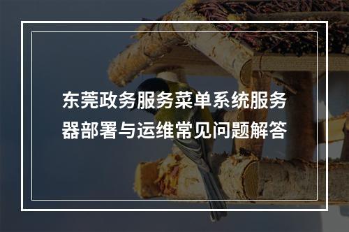 东莞政务服务菜单系统服务器部署与运维常见问题解答