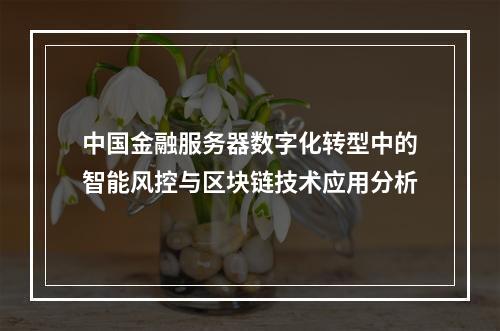 中国金融服务器数字化转型中的智能风控与区块链技术应用分析