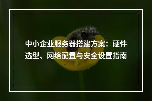 中小企业服务器搭建方案：硬件选型、网络配置与安全设置指南