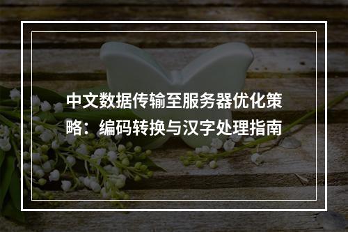 中文数据传输至服务器优化策略：编码转换与汉字处理指南