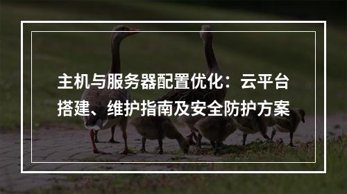 主机与服务器配置优化：云平台搭建、维护指南及安全防护方案