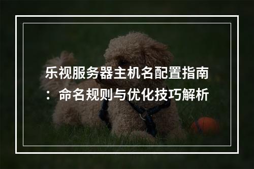 乐视服务器主机名配置指南：命名规则与优化技巧解析