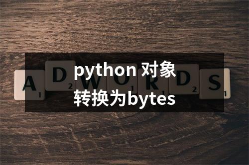 python 对象转换为bytes