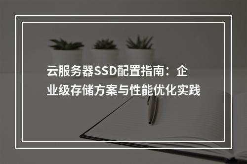 云服务器SSD配置指南：企业级存储方案与性能优化实践
