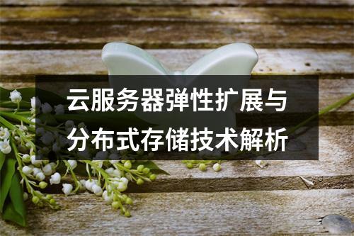 云服务器弹性扩展与分布式存储技术解析
