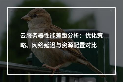云服务器性能差距分析：优化策略、网络延迟与资源配置对比