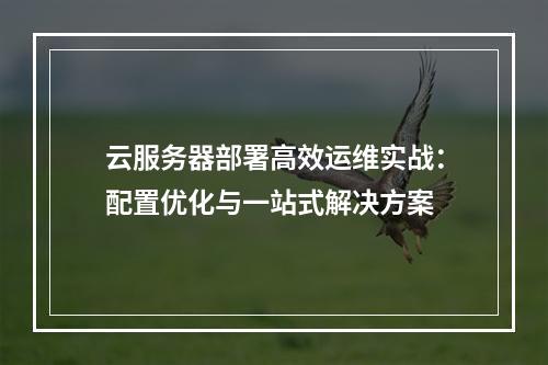 云服务器部署高效运维实战：配置优化与一站式解决方案
