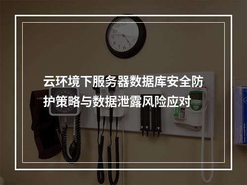 云环境下服务器数据库安全防护策略与数据泄露风险应对