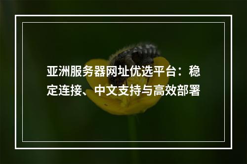 亚洲服务器网址优选平台：稳定连接、中文支持与高效部署