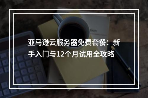 亚马逊云服务器免费套餐：新手入门与12个月试用全攻略