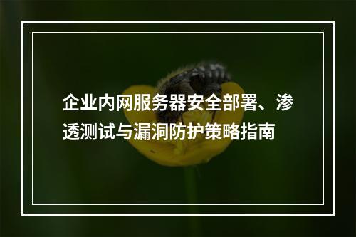 企业内网服务器安全部署、渗透测试与漏洞防护策略指南
